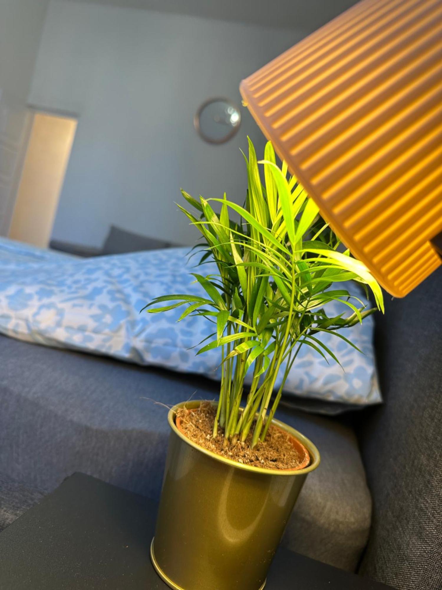 Deri Corner By Downtown Apartament Budapesta